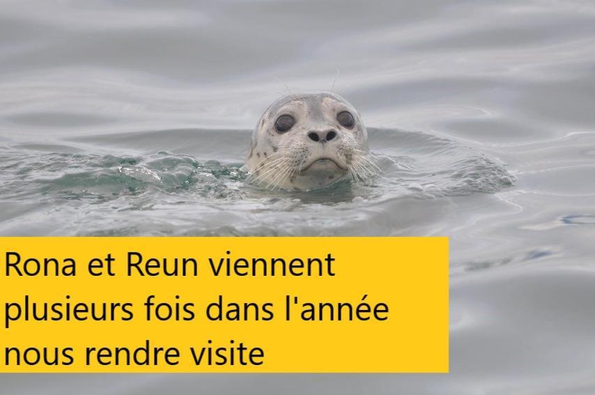 Reflets De La Mer... Bed & Breakfast